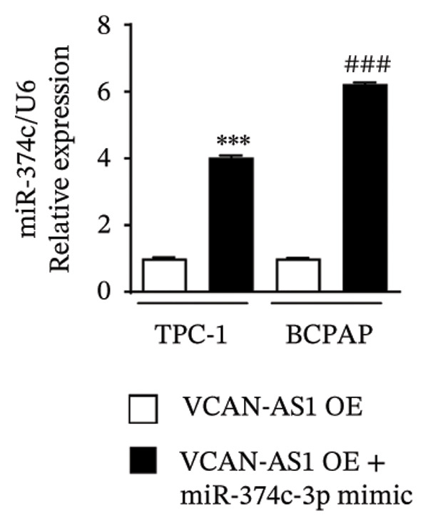Figure 39