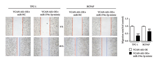 Figure 42