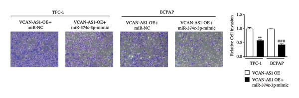 Figure 43