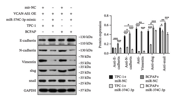 Figure 44