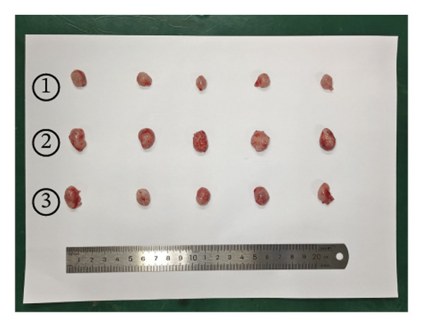 Figure 46