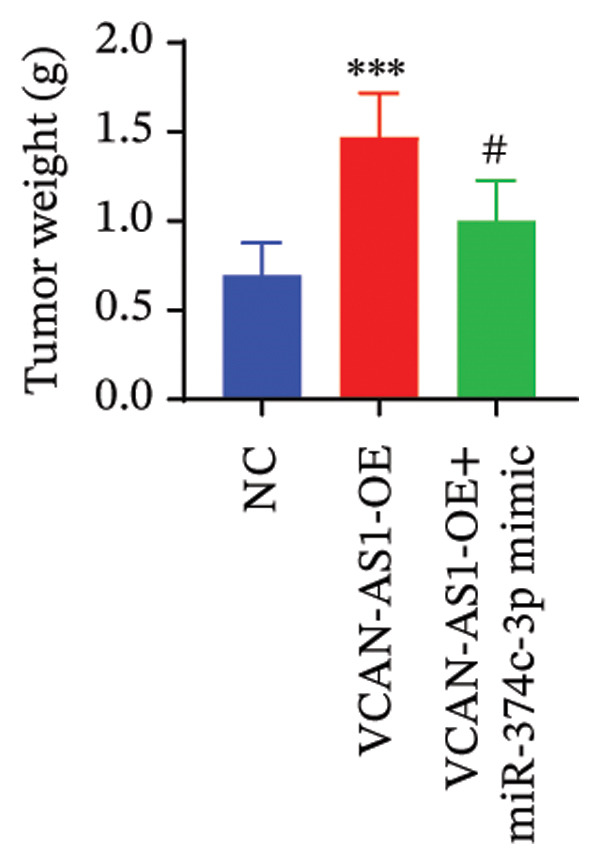 Figure 47