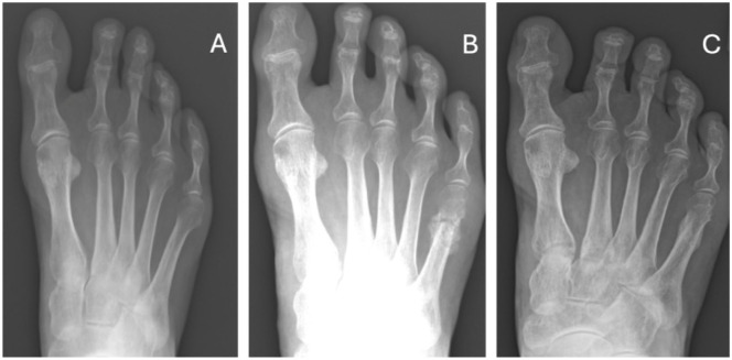 Figure 7