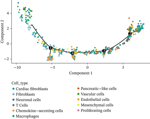 Figure 24
