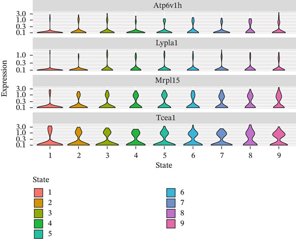 Figure 27