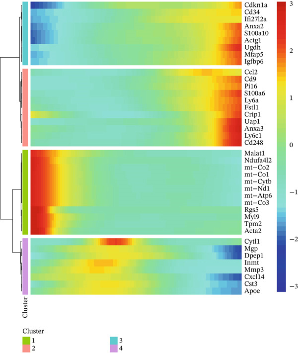 Figure 29