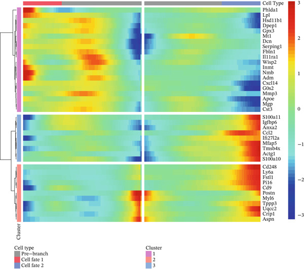 Figure 30