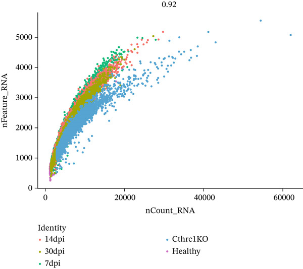 Figure 31