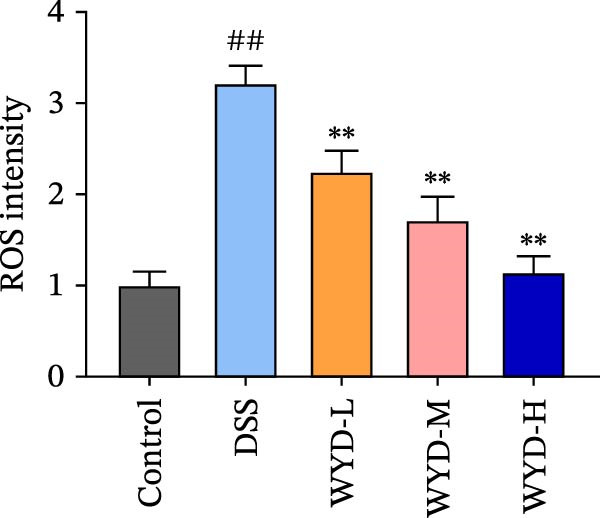 Figure 19