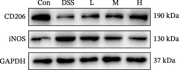 Figure 24