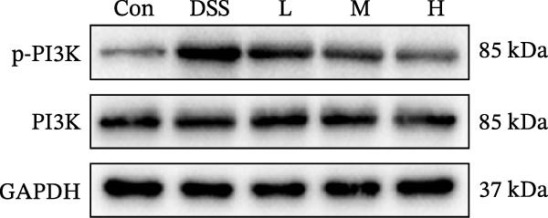 Figure 27