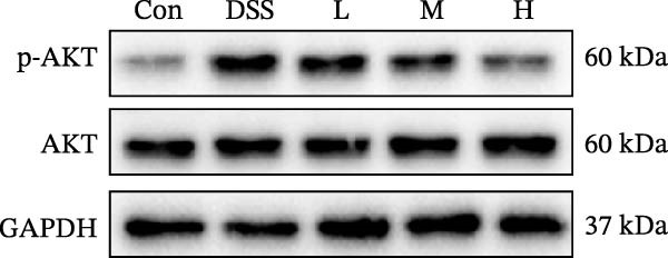 Figure 28