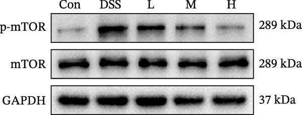 Figure 29