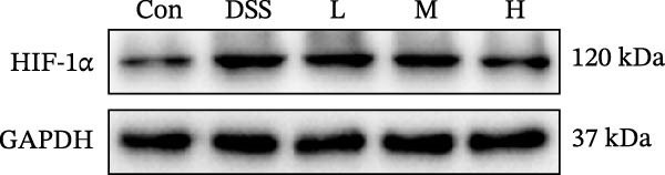 Figure 33