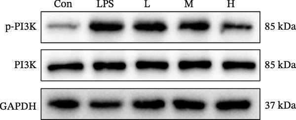 Figure 35