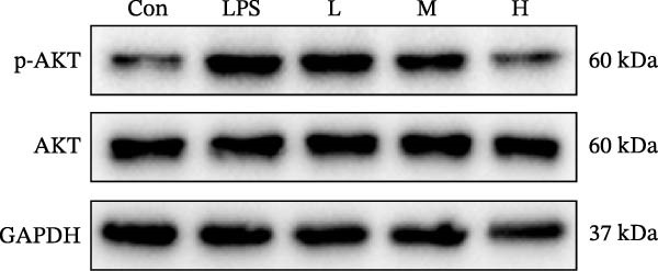 Figure 36