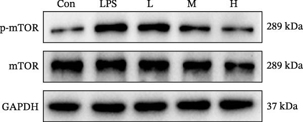 Figure 37