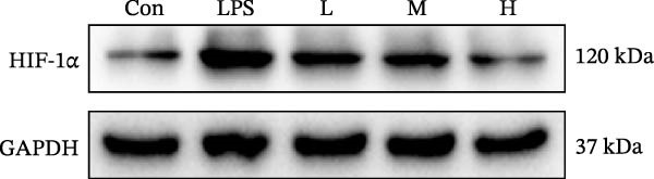 Figure 38
