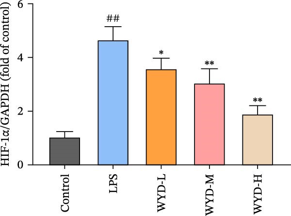 Figure 42