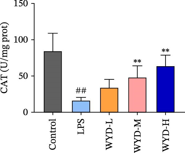 Figure 44
