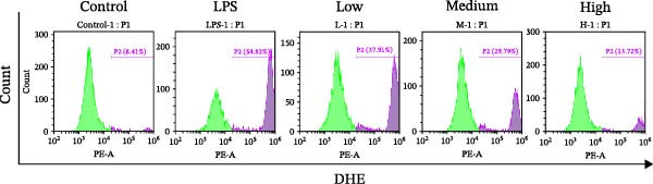 Figure 47