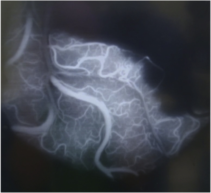 Figure 7