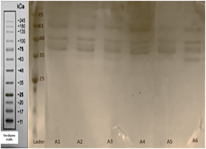 FIGURE 3