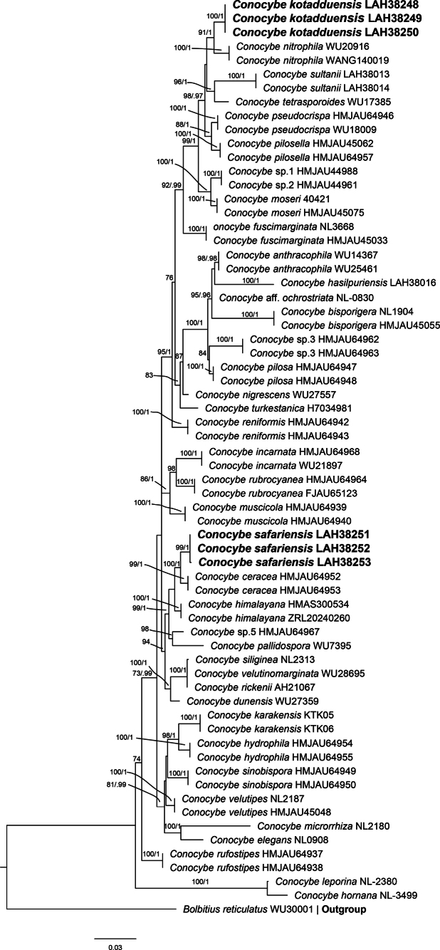 Figure 2