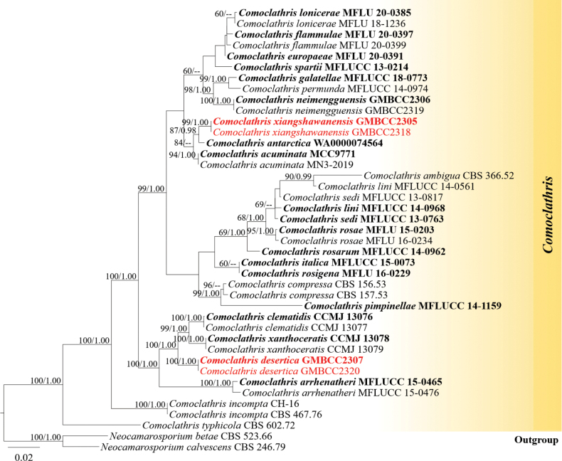Figure 2