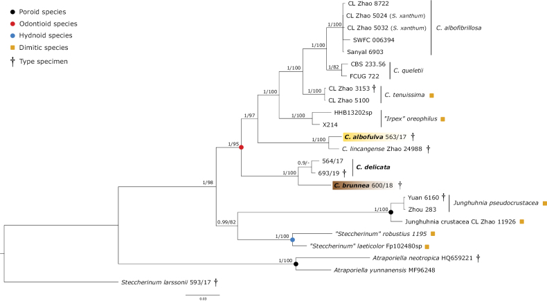 Figure 2