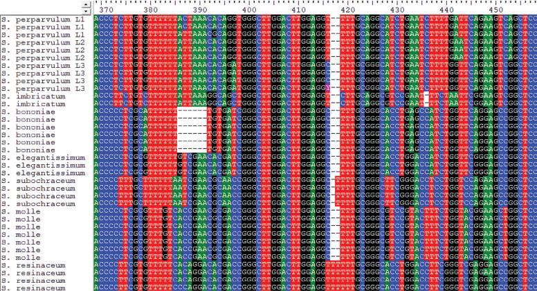 Figure 12