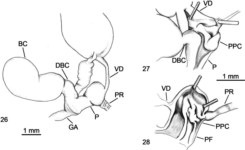 Figures 26–28
