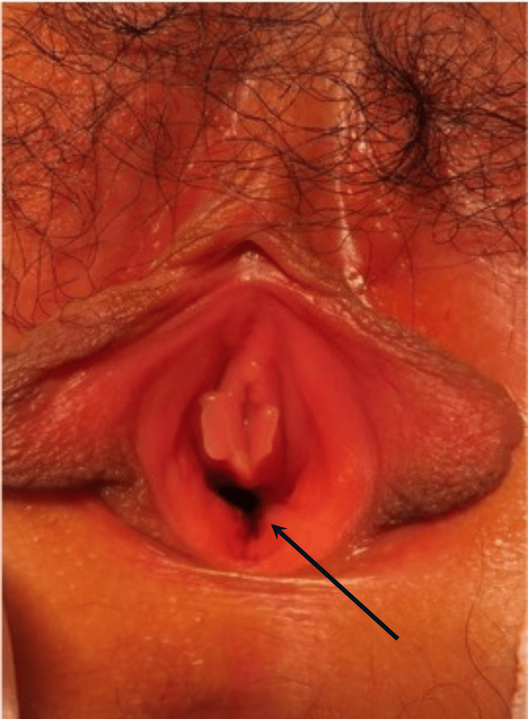 Figure 7