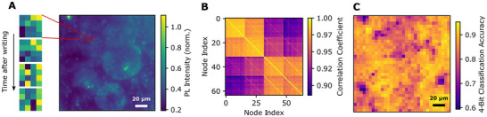 FIGURE 4