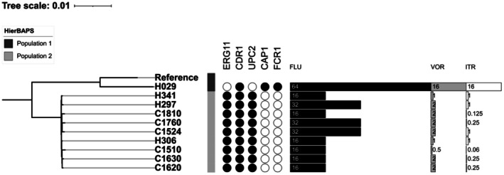 FIGURE 1