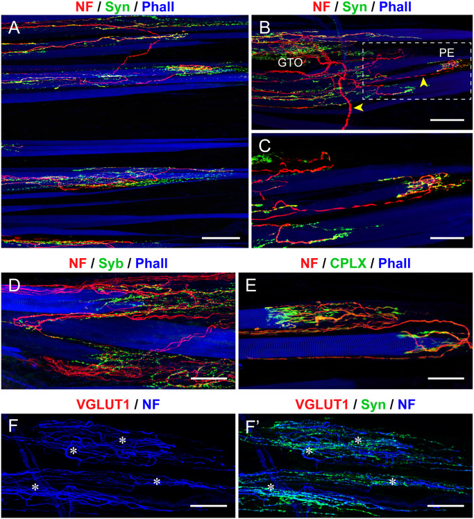 Figure 6
