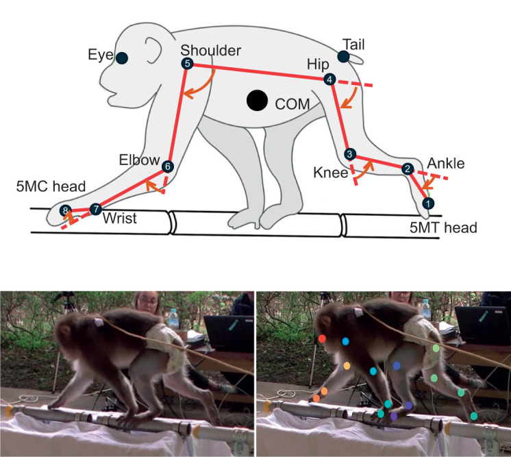 Fig. 2