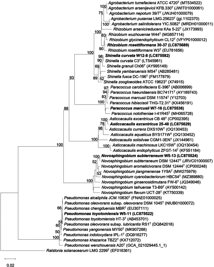 FIGURE 4