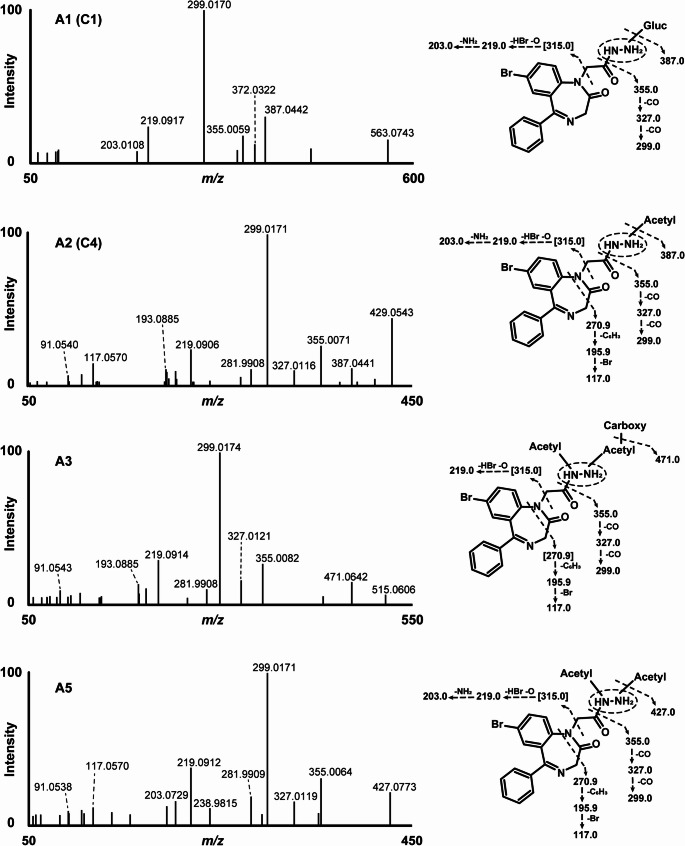 Figure 7