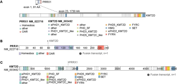 FIGURE 4