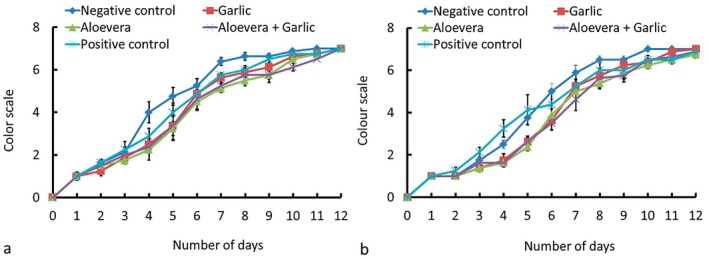 FIGURE 11