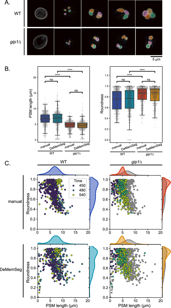 Figure 6