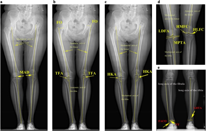 FIGURE 2