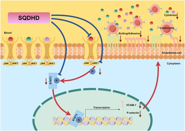 FIGURE 10
