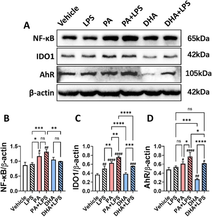 FIGURE 8