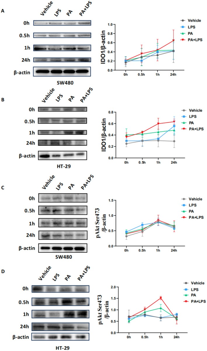 FIGURE 11