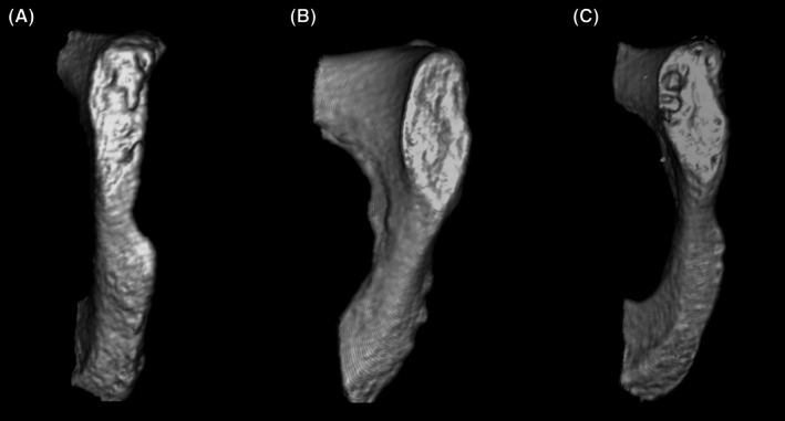 FIGURE 1