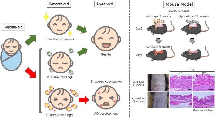FIGURE 3