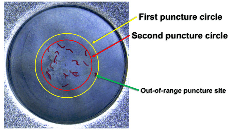 Figure 8