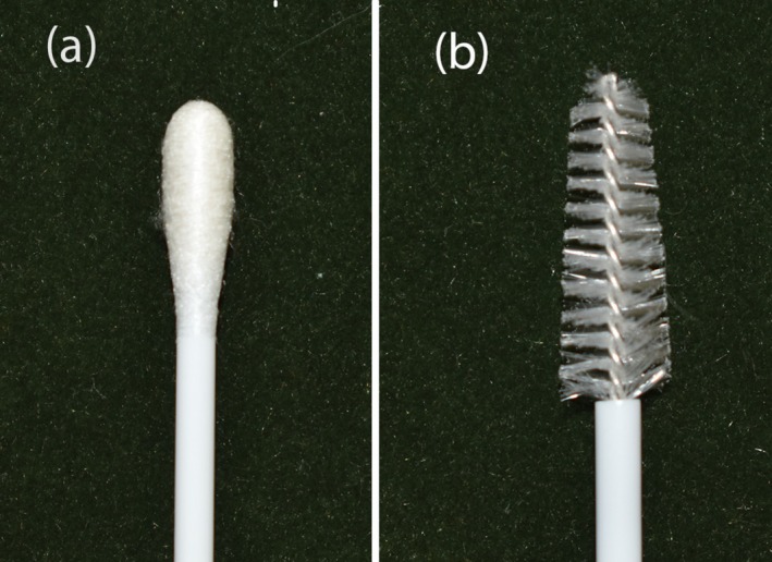 FIGURE 1